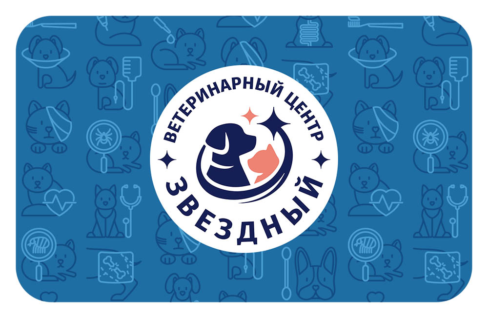 Дисконтная карта Звездный